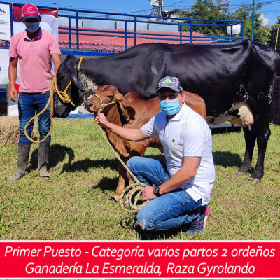 1er puesto - varios partos dos ordeños