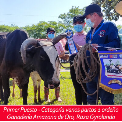 1er puesto - varios partos un ordeño