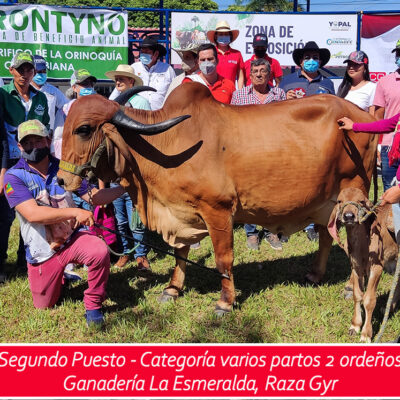 2do puesto - varios partos dos ordeños