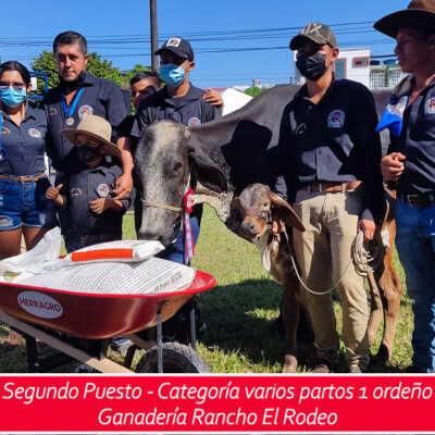 2do puesto - varios partos un ordeño