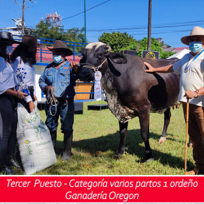 3er puesto - varios partos un ordeño