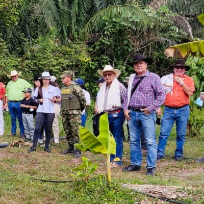 Recorrido por cultivos de cacao