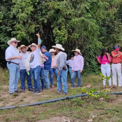 Recorrido por cultivo de cacao