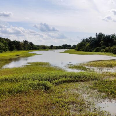 Laguna de Hacienda Tabarí