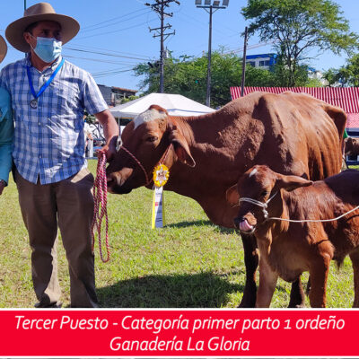 3er puesto - primer parto un ordeño
