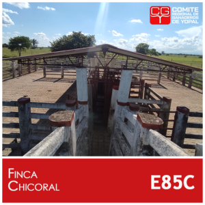Finca Chicoral